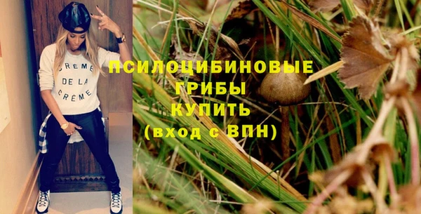 apvp Богданович
