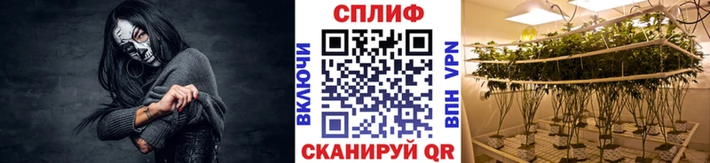 Марихуана конопля  Купить закладки  Полесск 